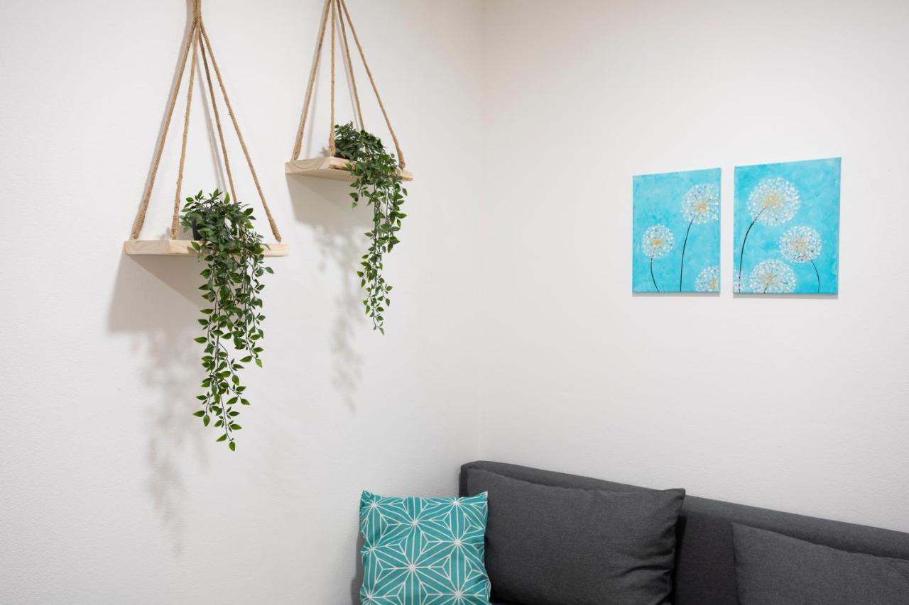 Apartment Sapica Solkan Zewnętrze zdjęcie